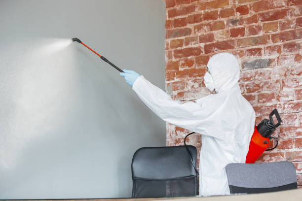 Best Commercial Mold Inspection  in Andrews, IN