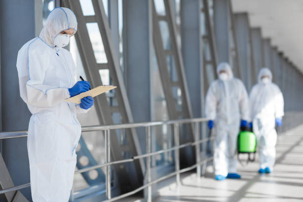 Trusted Andrews, IN Mold Removal Experts