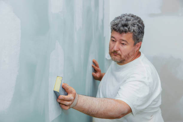 Best Environmental Consulting for Mold Prevention  in Andrews, IN