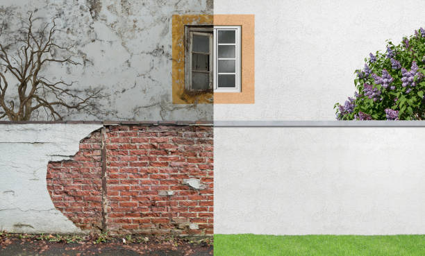 Mold Odor Removal Services in Andrews, IN